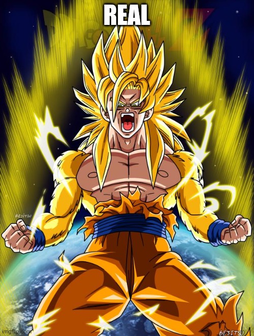 Goku | REAL | image tagged in goku | made w/ Imgflip meme maker