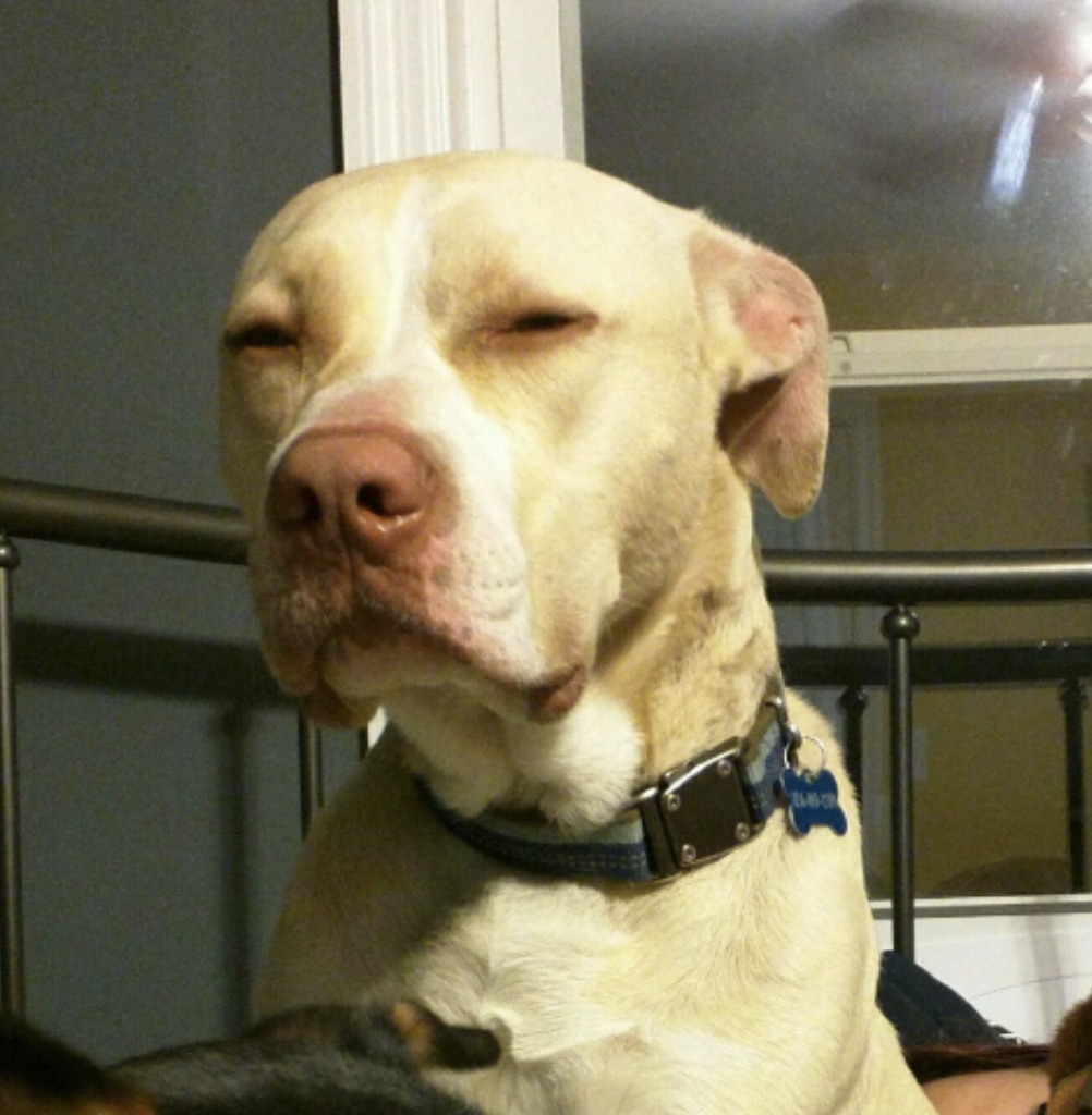 What is wrong with you Blank Meme Template