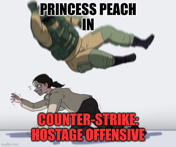 Rainbow Six - Fuze The Hostage | PRINCESS PEACH
IN COUNTER-STRIKE: HOSTAGE OFFENSIVE | image tagged in rainbow six - fuze the hostage | made w/ Imgflip meme maker