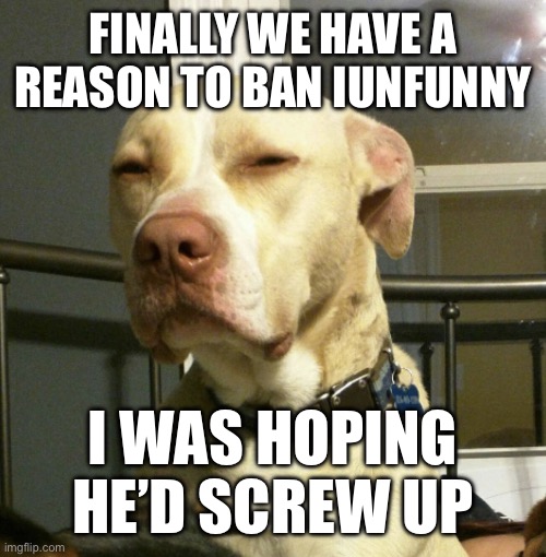 What is wrong with you | FINALLY WE HAVE A REASON TO BAN IUNFUNNY; I WAS HOPING HE’D SCREW UP | image tagged in what is wrong with you | made w/ Imgflip meme maker