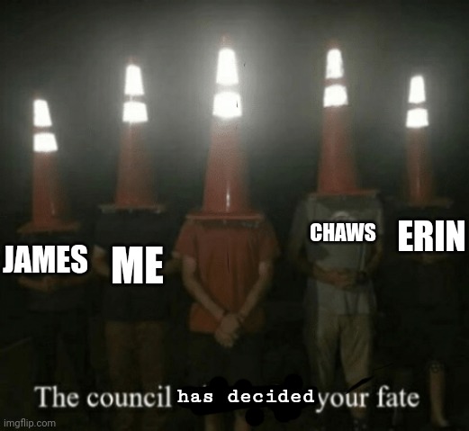 the counsel will decide your fate | ERIN has decided JAMES CHAWS ME | image tagged in the counsel will decide your fate | made w/ Imgflip meme maker
