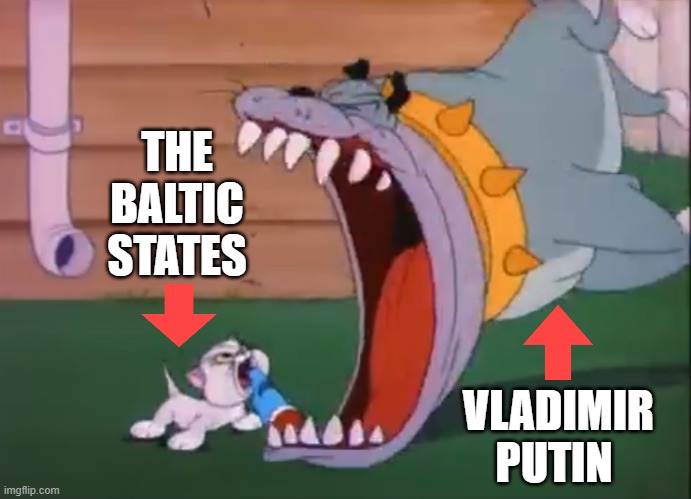 Putin Bulldog Bully | THE BALTIC STATES; VLADIMIR PUTIN | image tagged in kitten,bulldog,estonia,latvia,lithuania,vladimir putin | made w/ Imgflip meme maker