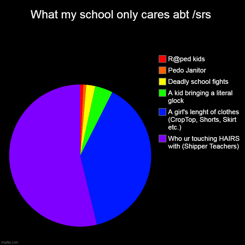 What my school only cares abt /srs | Who ur touching HAIRS with (Shipper Teachers), A girl's lenght of clothes (CropTop, Shorts, Skirt etc.) | image tagged in charts,pie charts,school,memes | made w/ Imgflip chart maker