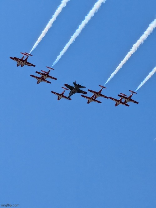 Good pic of snow birds | made w/ Imgflip meme maker