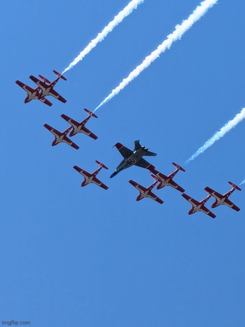 Best pic of snow birds | made w/ Imgflip meme maker