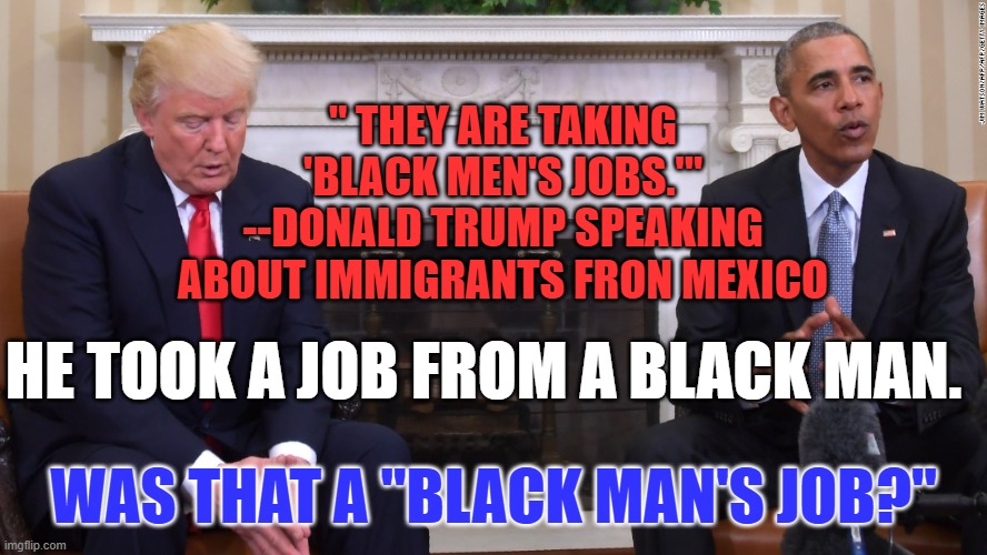 Who gives jobs racial designations? | " THEY ARE TAKING 'BLACK MEN'S JOBS.'" --DONALD TRUMP SPEAKING ABOUT IMMIGRANTS FRON MEXICO; HE TOOK A JOB FROM A BLACK MAN. WAS THAT A "BLACK MAN'S JOB?" | image tagged in politics | made w/ Imgflip meme maker