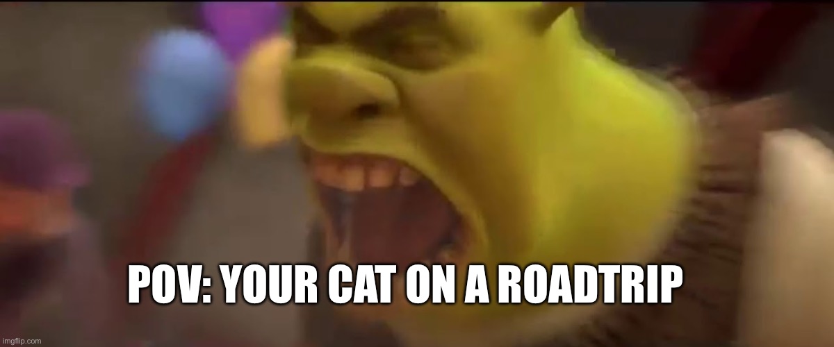 Guys this is so true | POV: YOUR CAT ON A ROADTRIP | image tagged in shrek screaming,cats,cars,moving | made w/ Imgflip meme maker