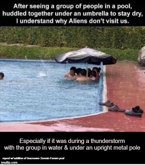 Especially if it was during a thunderstorm with the group in water & under an upright metal pole; repost w/ addition of Grazeanne Serenio Ferraro post | made w/ Imgflip meme maker