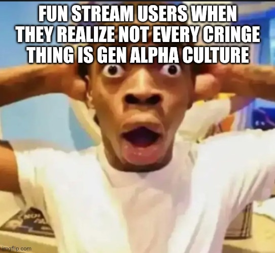 Surprised Black Guy | FUN STREAM USERS WHEN THEY REALIZE NOT EVERY CRINGE THING IS GEN ALPHA CULTURE | image tagged in surprised black guy | made w/ Imgflip meme maker