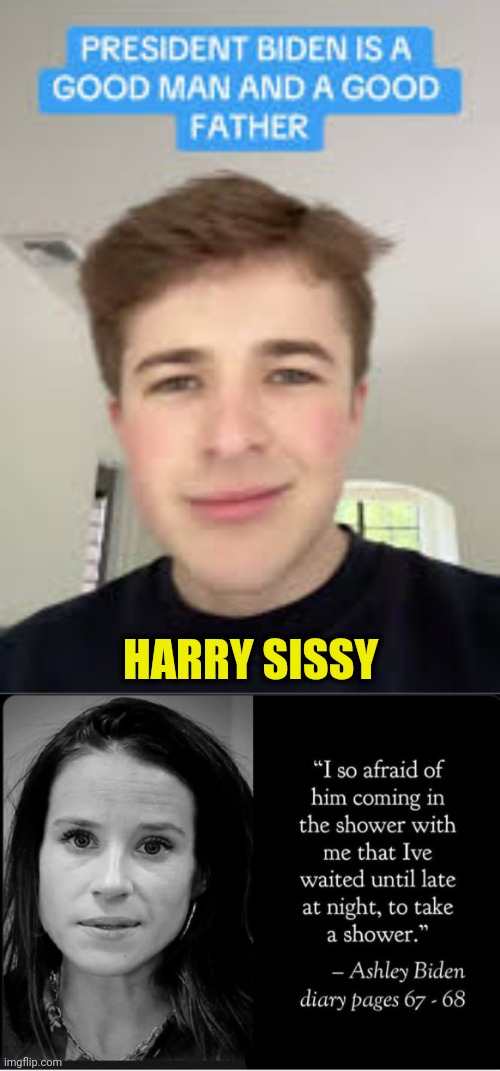 Harry Sissy says Joe's a good Father and man | HARRY SISSY | image tagged in harry sissy,joe biden,pedophile,father | made w/ Imgflip meme maker