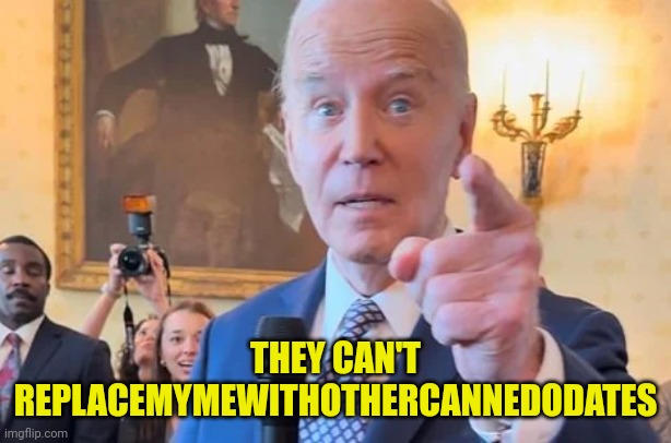THEY CAN'T REPLACEMYMEWITHOTHERCANNEDODATES | made w/ Imgflip meme maker