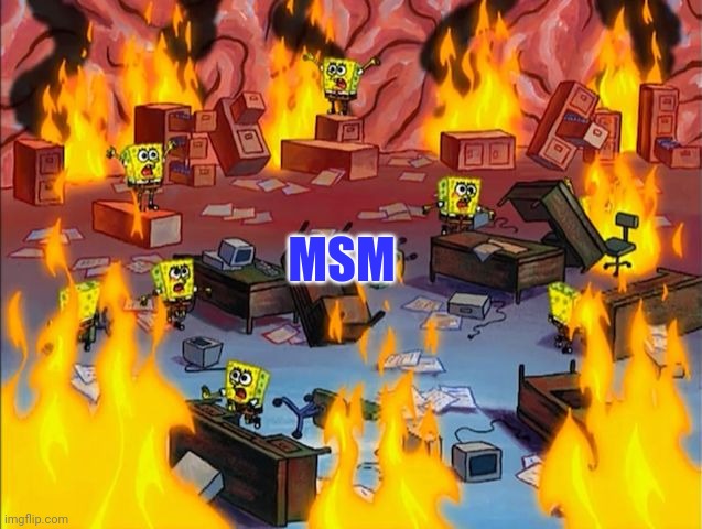 spongebob fire | MSM | image tagged in spongebob fire | made w/ Imgflip meme maker