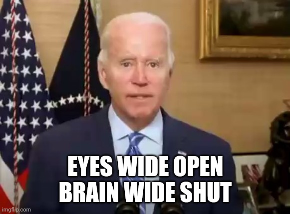 EYES WIDE OPEN
BRAIN WIDE SHUT | made w/ Imgflip meme maker