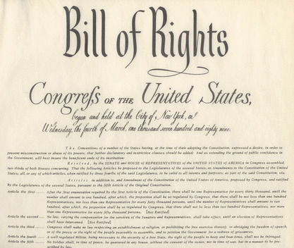 Bill of Rights Blank Meme Template