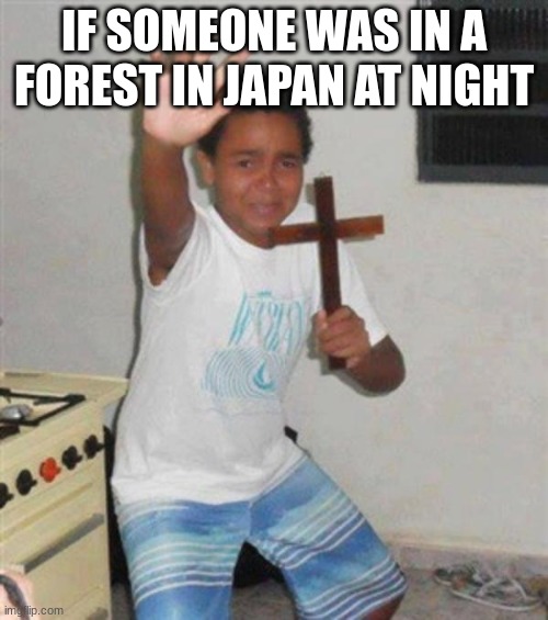 If u don't understand, search up kuchisake onna or oiwa or whatever ghost you can find on google | IF SOMEONE WAS IN A FOREST IN JAPAN AT NIGHT | image tagged in stay back you demon | made w/ Imgflip meme maker