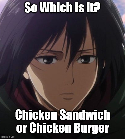 Chicken | So Which is it? Chicken Sandwich or Chicken Burger | image tagged in chicken | made w/ Imgflip meme maker