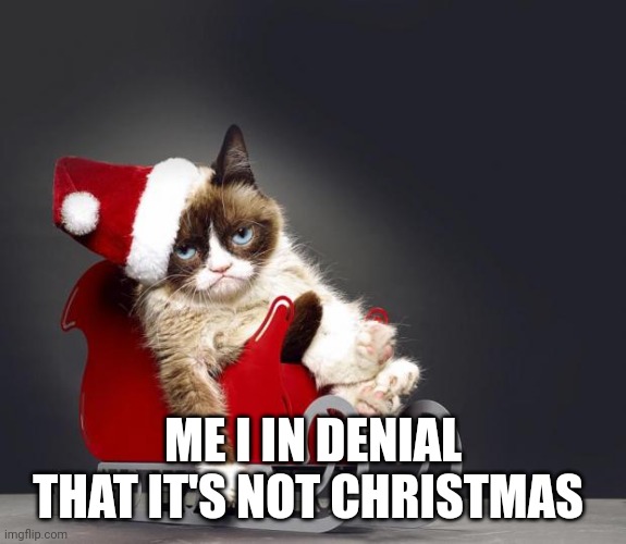 Grumpy Cat Christmas HD | ME I IN DENIAL THAT IT'S NOT CHRISTMAS | image tagged in grumpy cat christmas hd | made w/ Imgflip meme maker