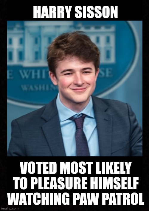 Just another leftist noob | HARRY SISSON; VOTED MOST LIKELY TO PLEASURE HIMSELF WATCHING PAW PATROL | made w/ Imgflip meme maker