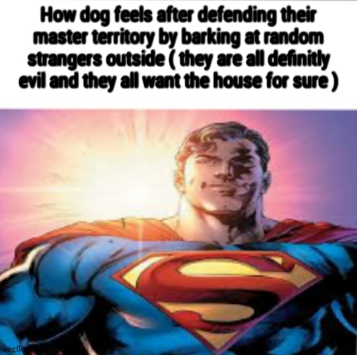 Superman starman meme | How dog feels after defending their master territory by barking at random strangers outside ( they are all definitly evil and they all want the house for sure ) | image tagged in superman starman meme | made w/ Imgflip meme maker