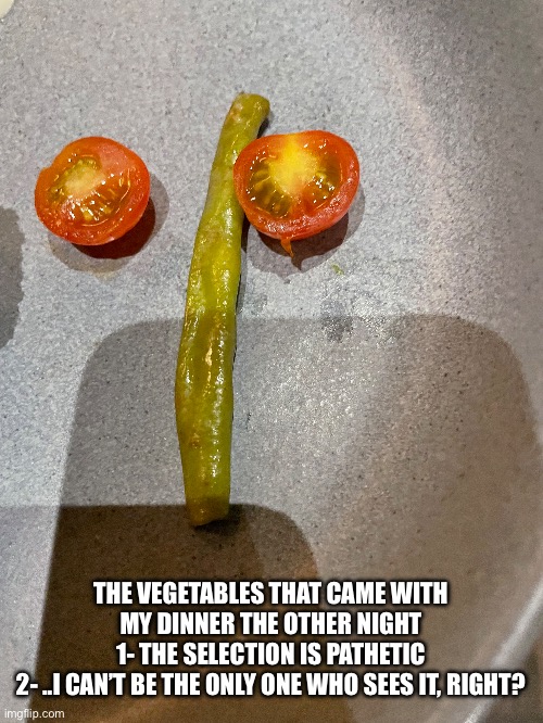 THE VEGETABLES THAT CAME WITH MY DINNER THE OTHER NIGHT
1- THE SELECTION IS PATHETIC
2- ..I CAN’T BE THE ONLY ONE WHO SEES IT, RIGHT? | made w/ Imgflip meme maker