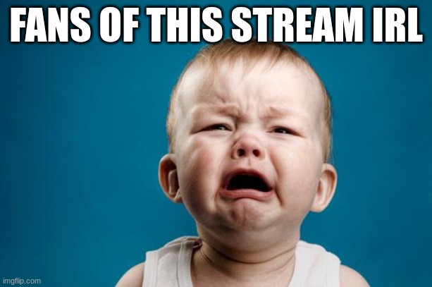 BABY CRYING | FANS OF THIS STREAM IRL | image tagged in baby crying | made w/ Imgflip meme maker
