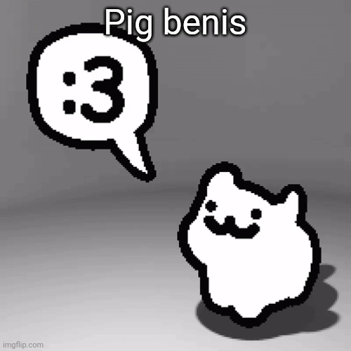 :3 cat | Pig benis | image tagged in 3 | made w/ Imgflip meme maker