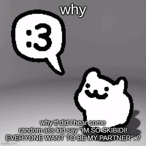 :3 cat | why; why tf did i hear some random ass kid say "IM SO SKIBIDI! EVERYONE WANT TO BE MY PARTNER"..? | image tagged in 3 cat | made w/ Imgflip meme maker