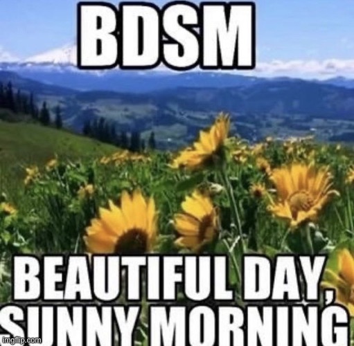 why of course i like bdsm | made w/ Imgflip meme maker