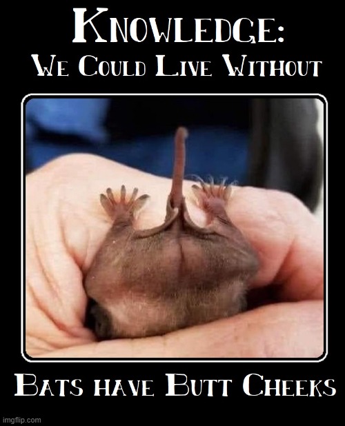 image tagged in vince vance,cursed image,memes,bats,butt,cheeks | made w/ Imgflip meme maker