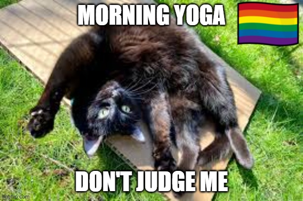 yoga cat | MORNING YOGA; DON'T JUDGE ME | image tagged in yoga cat | made w/ Imgflip meme maker
