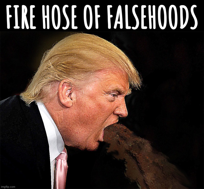 debate plan... | FIRE HOSE OF FALSEHOODS | image tagged in fire,hose,lies,trump lies,why you always lying,get lost | made w/ Imgflip meme maker