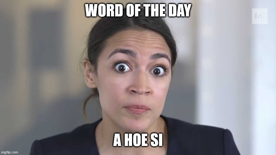 AOC Stumped | WORD OF THE DAY; A HOE SI | image tagged in aoc stumped | made w/ Imgflip meme maker