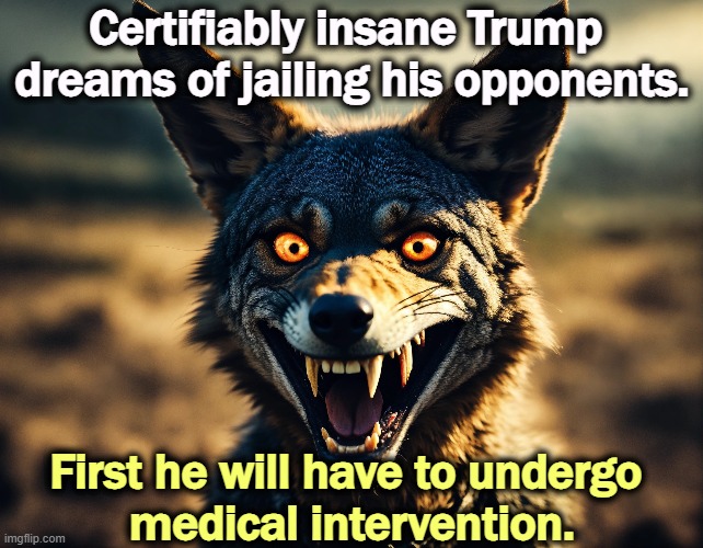 Trump is sick, sicker than you think | Certifiably insane Trump 
dreams of jailing his opponents. First he will have to undergo 
medical intervention. | image tagged in trump,jail,fantasy,enemies,insane,help | made w/ Imgflip meme maker
