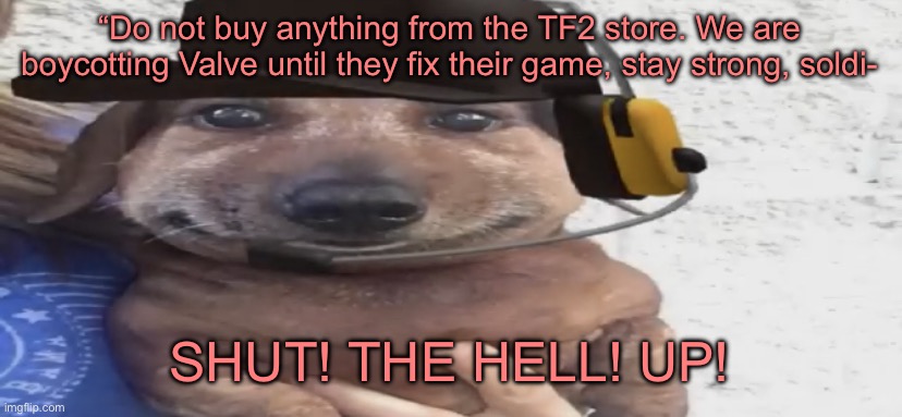chucklenuts | “Do not buy anything from the TF2 store. We are boycotting Valve until they fix their game, stay strong, soldi-; SHUT! THE HELL! UP! | image tagged in chucklenuts | made w/ Imgflip meme maker