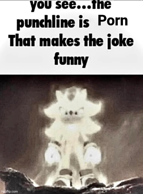 Shadow explains the joke | Porn | image tagged in shadow explains the joke | made w/ Imgflip meme maker