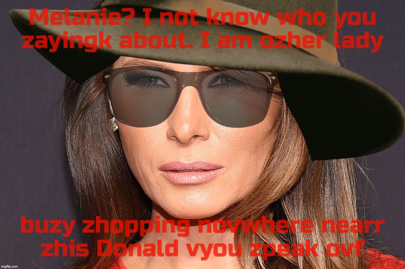 Former FLOTUS floats among us unseen near that bloated POS crust she would rather leave behind in the rusted dust | Melanie? I not know who you
zayingk about. I am ozher lady; buzy zhopping novwhere nearr
zhis Donald vyou zpeak ovf | image tagged in melania trump,melania,incognito,melodia incognito,trump,on a milk carton somewhere | made w/ Imgflip meme maker