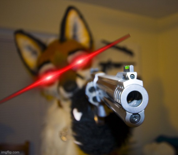 Furry with gun | image tagged in furry with gun | made w/ Imgflip meme maker