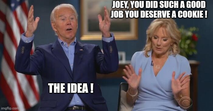 Joe and Jill | THE IDEA ! JOEY, YOU DID SUCH A GOOD JOB YOU DESERVE A COOKIE ! | image tagged in joe and jill | made w/ Imgflip meme maker