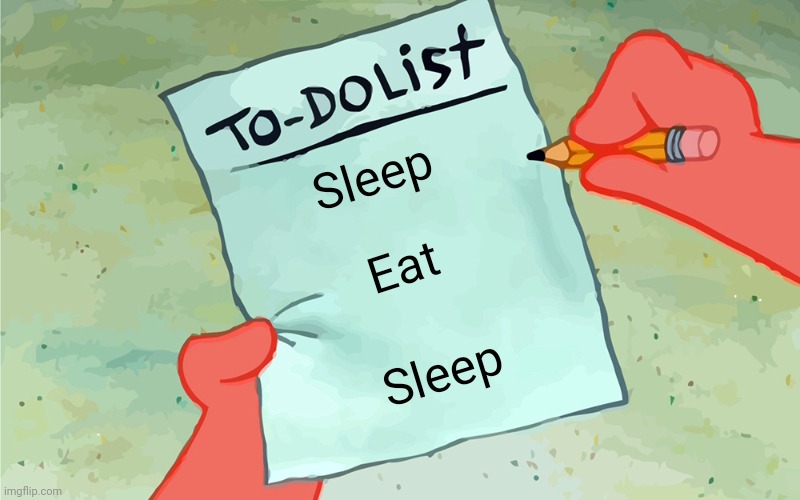 Daily routine | Sleep; Eat; Sleep | image tagged in patrick to do list actually blank | made w/ Imgflip meme maker