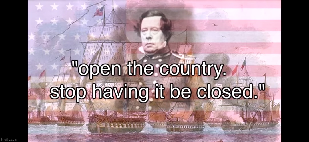 "Open the country. Stop having it be closed." Said the United States | image tagged in japan,history,usa | made w/ Imgflip meme maker