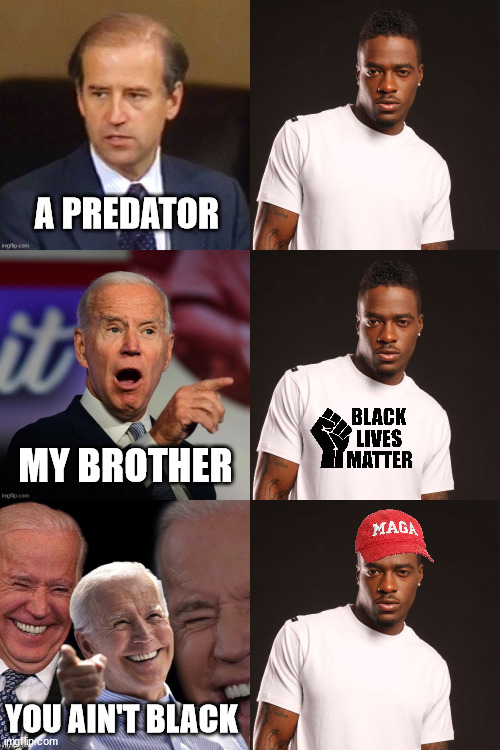 Joe Biden about black people | A PREDATOR; MY BROTHER; YOU AIN'T BLACK | image tagged in memes,politics,black,maga,blm,joe biden | made w/ Imgflip meme maker