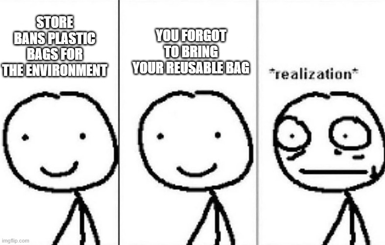 Realization | YOU FORGOT TO BRING YOUR REUSABLE BAG; STORE BANS PLASTIC BAGS FOR THE ENVIRONMENT | image tagged in realization | made w/ Imgflip meme maker