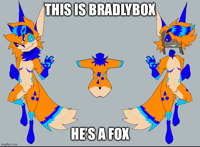THIS IS BRADLYBOX; HE’S A FOX | made w/ Imgflip meme maker