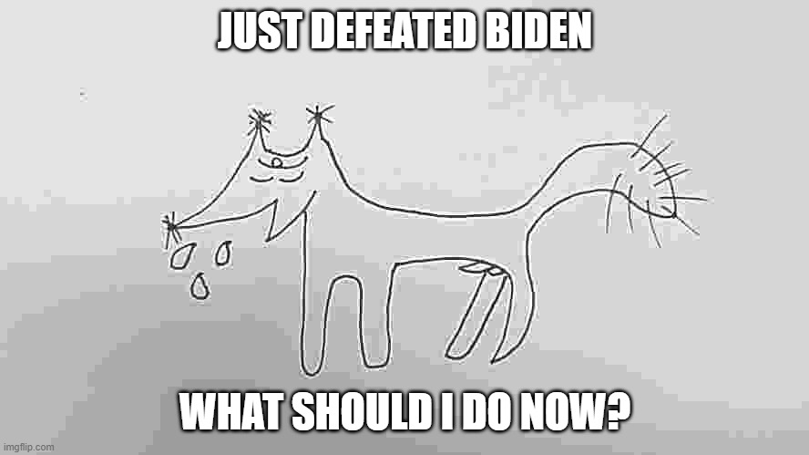 tien | JUST DEFEATED BIDEN; WHAT SHOULD I DO NOW? | image tagged in tien | made w/ Imgflip meme maker