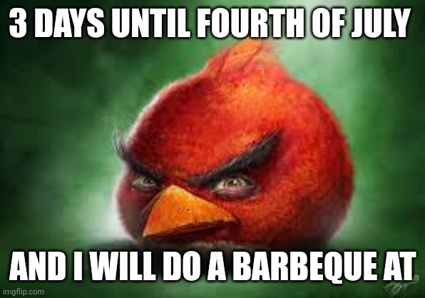 Realistic Red Angry Birds | 3 DAYS UNTIL FOURTH OF JULY; AND I WILL DO A BARBEQUE AT | image tagged in realistic red angry birds | made w/ Imgflip meme maker