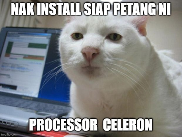 Funny cat face! | NAK INSTALL SIAP PETANG NI; PROCESSOR  CELERON | image tagged in funny cat face | made w/ Imgflip meme maker