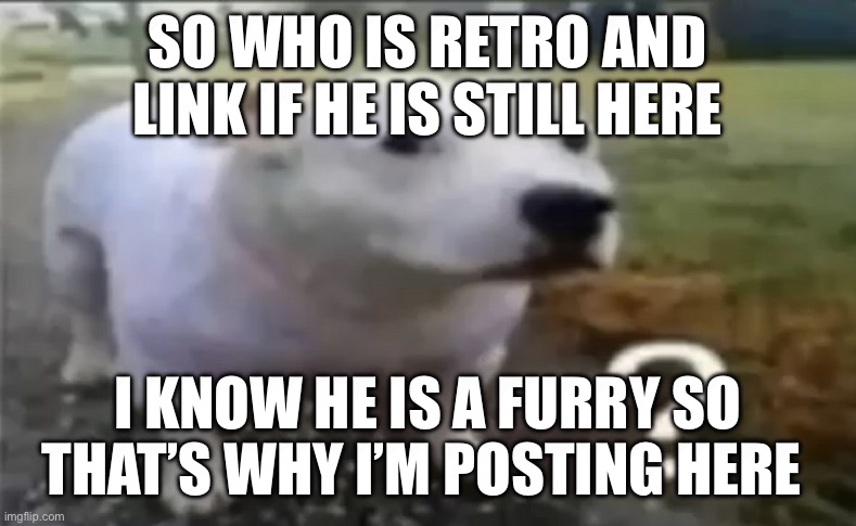 ? | SO WHO IS RETRO AND LINK IF HE IS STILL HERE; I KNOW HE IS A FURRY SO THAT’S WHY I’M POSTING HERE | made w/ Imgflip meme maker