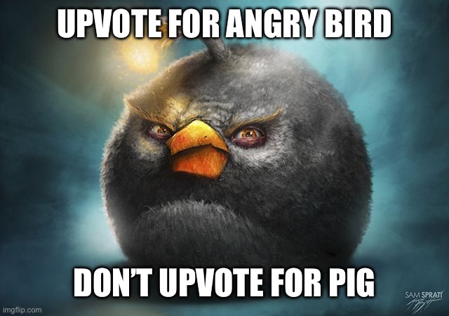 angry birds bomb | UPVOTE FOR ANGRY BIRD; DON’T UPVOTE FOR PIG | image tagged in angry birds bomb | made w/ Imgflip meme maker