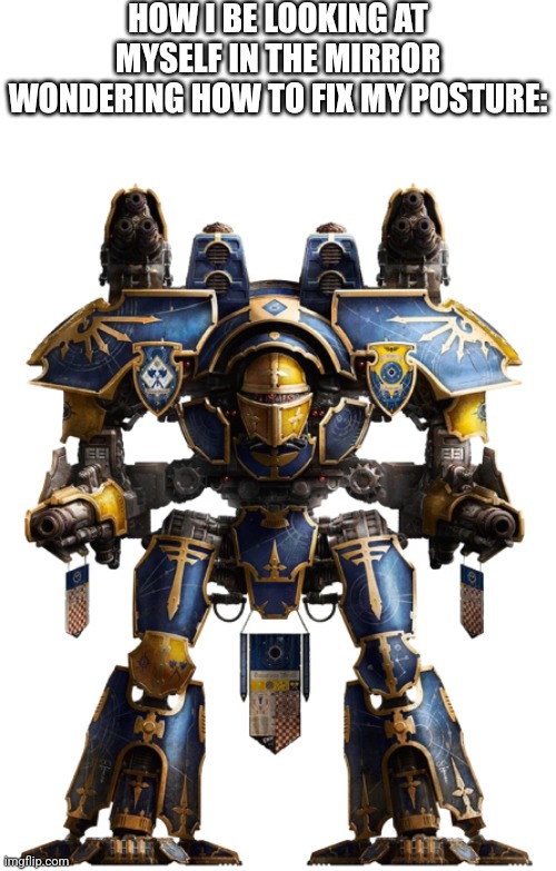 Warlord titan ahh posture | HOW I BE LOOKING AT MYSELF IN THE MIRROR WONDERING HOW TO FIX MY POSTURE: | image tagged in warlord titan | made w/ Imgflip meme maker