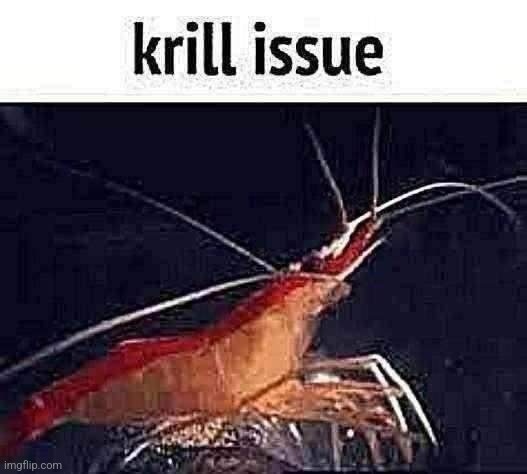 gn chat (15 upvotes and I put in politics) | image tagged in krill issue | made w/ Imgflip meme maker